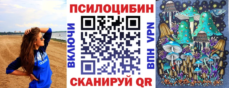 Купить где  Каневская  Псилоцибиновые грибы GOLDEN TEACHER 